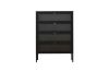 Picture of STARK Steel Frame 4-Door Transparent Glass Shoe Cabinet (Black)