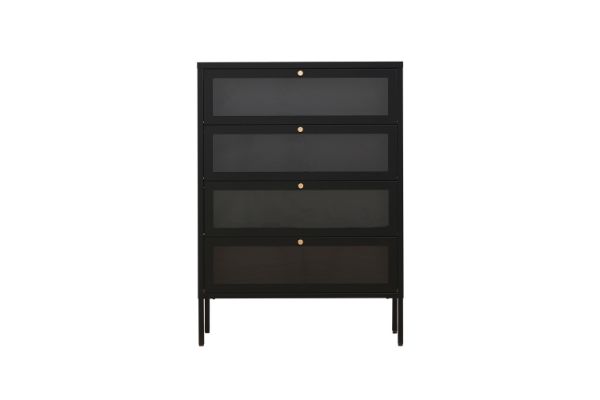 Picture of STARK Steel Frame 4-Door Transparent Glass Shoe Cabinet (Black)