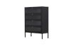 Picture of STARK Steel Frame 4-Door Transparent Glass Shoe Cabinet (Black)