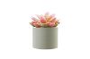 Picture of Set of 6 - ARTIFICIAL Gradient Succulent Plants with Cement Pots