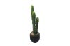 Picture of ARTIFICIAL Cactus Potted Plant (90cm Tall) 