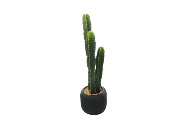 Picture of ARTIFICIAL Cactus Potted Plant (90cm Tall) 
