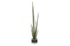 Picture of ARTIFICIAL Sansevieria Potted Plant (120cm Tall)