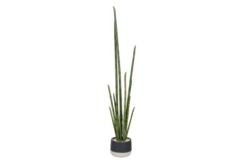 Picture of ARTIFICIAL Sansevieria Potted Plant (120cm Tall)