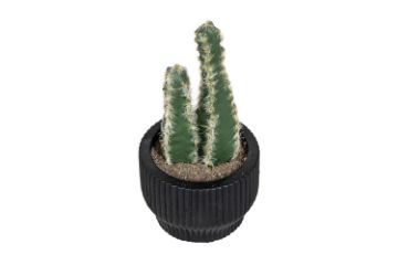 Picture of ARTIFICIAL Duo Cereus Acanthocereus Cactus Potted Plant (8x17cm) 