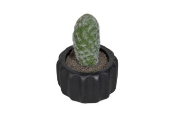 Picture of ARTIFICIAL Round Cactus Potted Plant (9x15cm)  