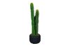 Picture of ARTIFICIAL Cactus Potted Plant (90cm Tall) 