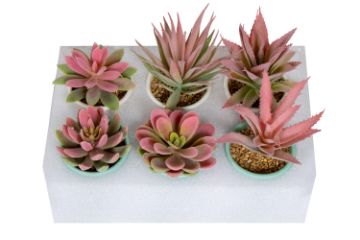 Picture of Set of 6 - ARTIFICIAL Gradient Succulent Plants with Cement Pots