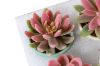 Picture of Set of 6 - ARTIFICIAL Gradient Succulent Plants with Cement Pots