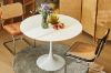 Picture of TULIP Dining Set  - 80cm Table with 4 Chairs (White)