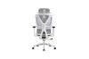 Picture of NOEMI Premium High Back Office Chair with Seat Slider (Grey)