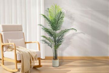 Picture of Artificial Potted Areca Palm Plant (H120cm/H150cm/H180cm)
