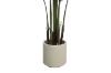 Picture of Artificial Potted Areca Palm Plant (H120cm/H150cm/H180cm)