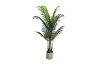 Picture of Artificial Potted Areca Palm Plant (H120cm/H150cm/H180cm)