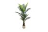 Picture of Artificial Potted Areca Palm Plant (H120cm/H150cm/H180cm)