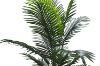 Picture of Artificial Potted Areca Palm Plant - H150cm