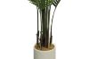 Picture of Artificial Potted Areca Palm Plant - H150cm