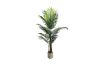 Picture of Artificial Potted Areca Palm Plant - H150cm