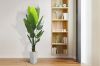 Picture of Artificial Potted Traveller Palm Plant - H210cm