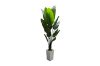 Picture of Artificial Potted Traveller Palm Plant - H210cm