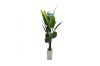 Picture of Artificial Potted Traveller Palm Plant - H210cm