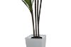 Picture of Artificial Green Upright Brazilian Ironwood Plant - H180cm 