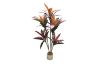 Picture of Artificial Potted Brazilian Red Ironwood Plant - H150cm