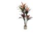 Picture of Artificial Potted Brazilian Red Ironwood Plant - H150cm