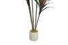 Picture of Artificial Potted Brazilian Red Ironwood Plant - H150cm