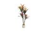 Picture of Artificial Potted Brazilian Red Ironwood Plant - H150cm