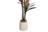 Picture of Artificial Potted Brazilian Red Ironwood Plant - H210cm