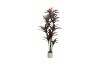 Picture of Artificial Potted Brazilian Red Ironwood Plant - H210cm