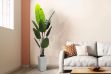 Picture of Artificial Potted Traveller Palm Plant - H180cm