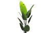 Picture of Artificial Potted Traveller Palm Plant - H180cm