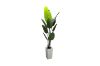 Picture of Artificial Potted Traveller Palm Plant - H180cm