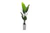 Picture of Artificial Potted Traveller Palm Plant - H180cm