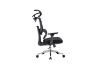 Picture of CODEX Height Adjustable Mesh Office Chair 
