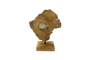 Picture of 650-021 Teak Root Abstract Decorative Sculpture (23cmx35cm)
