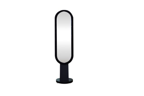 Picture of FAYLEN H170 Swivel Base Stand Mirror(Black)