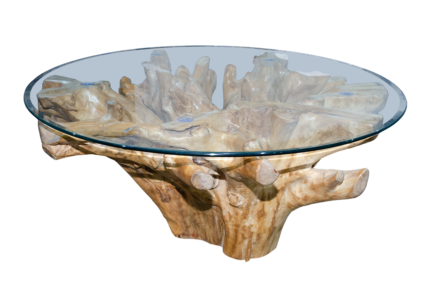 TAKARA D110 Tempered Glass Top Handcrafted Teak Root Coffee Table