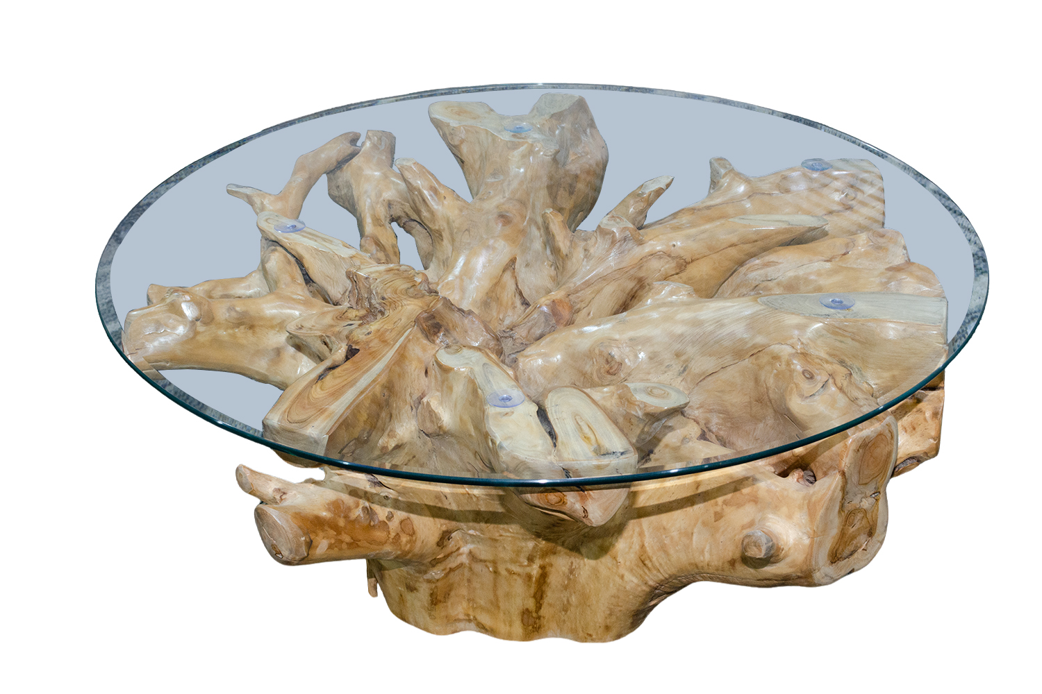 TAKARA D110 Tempered Glass Top Handcrafted Teak Root Coffee Table
