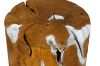 Picture of TAKARA Teak Root Cylindrical Stool