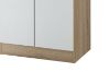 Picture of VIDA 2-Door Shoe Cabinet 