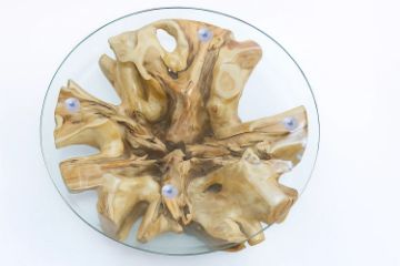 Picture of TAKARA D70 Tempered Glass Top Handcrafted Teak Root Coffee Table