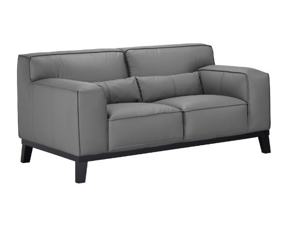 Picture of ZURICHER 100% Capri Leather 2 Seater Sofa (Charcoal Grey)