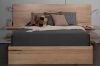 Picture of ZENAZA Queen Size Bed Frame with Side Shelves, Adjustable Lights & USB ports