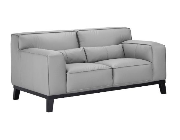 Picture of ZURICHER 100% Capri Leather 2 Seater Sofa (Pewter)