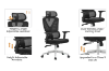 Picture of NOEMI High Back Office Chair (Black)