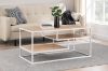 Picture of ADAM Coffee Table (101 x 51CM)