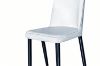 Picture of AINA Dining Chair (Cream White) - Each